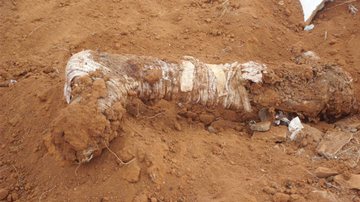 Imagem Itaquara: perna humana amputada em hospital é descartada irregularmente
