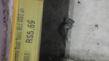 Imagem Rato morto é encontrado no supermercado Mercantil Rodrigues