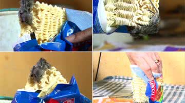 Imagem Denúncia: mulher diz ter encontrado rato no macarrão instantâneo