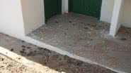 Imagem Abaíra: “tem cavalo morando em casas do Minha Casa Minha Vida”, diz vereador
