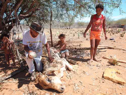 Imagem Estudo indica forte período de seca em janeiro e fevereiro na Bahia