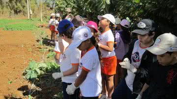 Imagem Colégio em Irecê cria o programa Jovens Empreendedores 