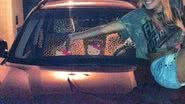 Imagem Gêmeas do nado tem carro roubado e polícia encontra veículo destruído