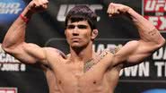 Imagem Grazi Massafera está namorando lutador de UFC, diz colunista