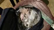 Imagem PM prende casal acusado de tráfico no Subúrbio