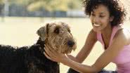 Imagem Uma em cada três mulheres prefere desabafar com cães do que com namorado