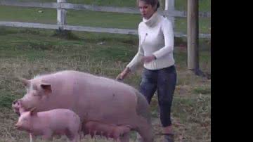 Imagem Bárbara Evans apelida porca com nome de Andressa Urach na "Fazenda"