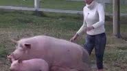 Imagem Bárbara Evans apelida porca com nome de Andressa Urach na "Fazenda"
