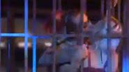 Imagem Vídeo: tarada, Aline ataca casal lésbico e beija Clara e Vanessa no BBB