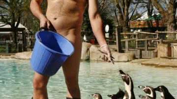 Imagem Tratador de tigres fica nu em zoológico