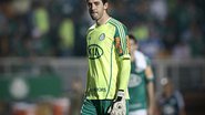 Imagem Goleiro do Palmeiras critica time e chama torcedores para a briga