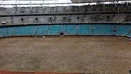 Imagem Fotos: plantio do gramado da Arena Fonte Nova 