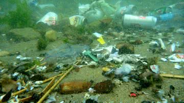 Imagem Mergulhadores retiram meia tonelada de lixo da Baia de Todos os Santos