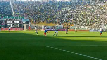 Imagem Bahia reage e arranca empate contra o palmeiras no Pacaembu