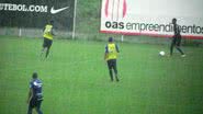 Divulgação