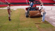 Imagem  Novo gramado do Barradão começa a ser plantado visando a Copa