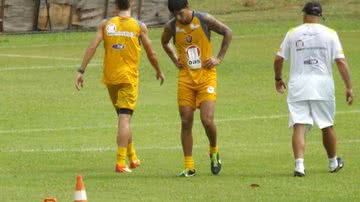 Divulgação