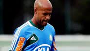 Imagem Marcos Assunção aceita receber menos no Santos que no Palmeiras
