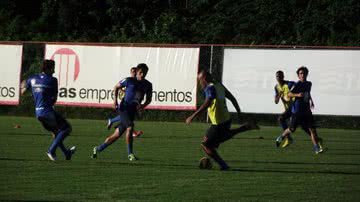Divulgação