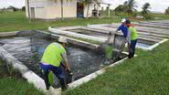 Imagem Projeto de aquicultura e pesca para Uruçuca é aprovado por ministério