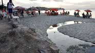 Imagem Arrastão na Segunda-feira Gorda causa transtornos na Ribeira