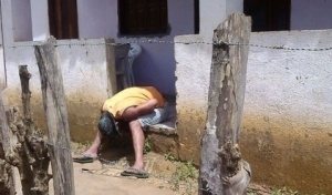 Imagem Homem morre ao morder cabeça de cobra na Bahia