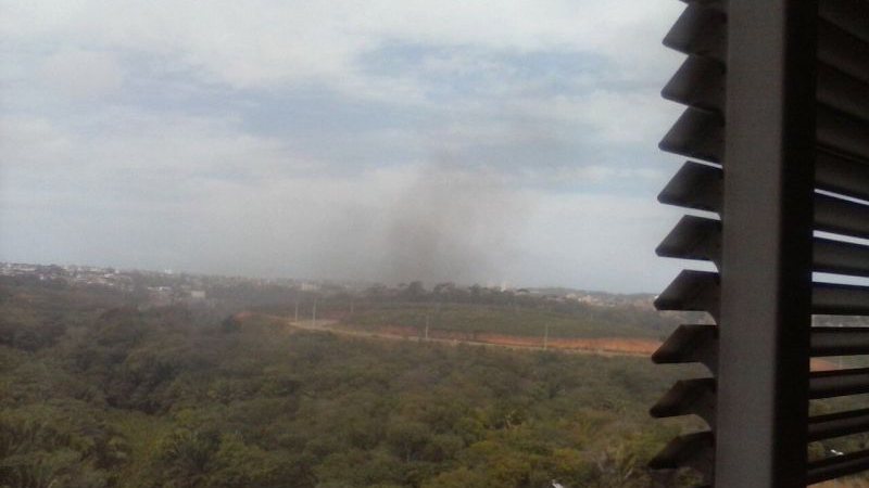Imagem Incêndio atinge vegetação no bairro Mussurunga 
