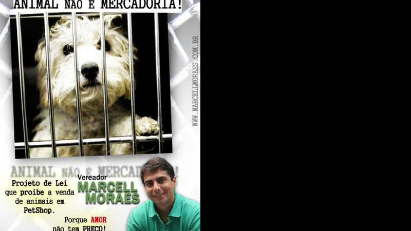 Imagem Pet shop 2: "Foi precipitado", diz presidente do CRMV sobre Marcell