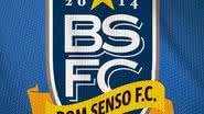 Imagem Bom Senso FC: Brasileirão pode parar por conta de salários atrasados