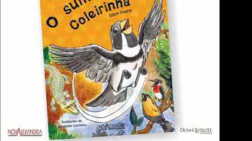 Imagem Ex-deputado federal Edson Duarte lança livro infantil