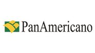 Imagem Um novo nome para o Banco Panamericano 