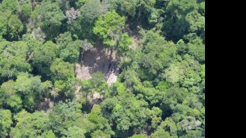 Imagem Petrobras destina mais de R$ 110 milhões para preservação da Amazônia