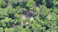 Imagem Petrobras destina mais de R$ 110 milhões para preservação da Amazônia