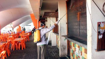 Imagem Prefeitura inicia combate de pragas em mercados municipais
