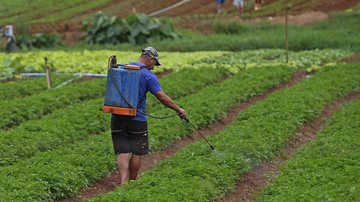 Imagem Grupo de Trabalho quer combater efeitos dos agrotóxicos na Bahia