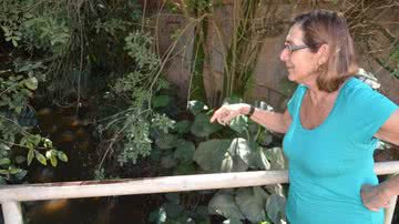 Imagem Crime Ambiental: Bompreço e BTU são denunciados em Lauro de Freitas