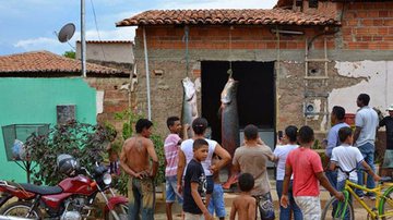 Imagem Pescadores capturam peixes gigantes no Rio Parnaíba