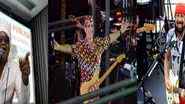 Imagem Carlinhos Brown, Durval Lelis, Bell e outros lideram top do Ecad no Carnaval