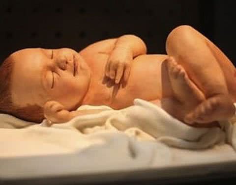 Imagem Você comeria um 'bebê'? Veja a nova moda dos britânicos