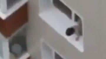 Imagem Susto: bebê anda em borda de janela do 9º andar de um prédio