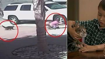 Imagem Gata de estimação salva criança do ataque feroz de um cão. Assista