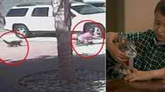 Imagem Gata de estimação salva criança do ataque feroz de um cão. Assista
