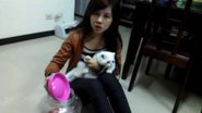 Imagem Estudante taiwanesa prende gato em pote de vidro