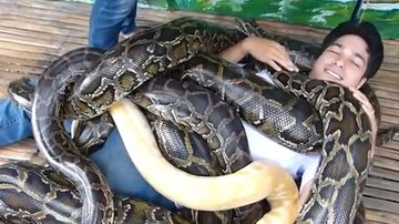 Imagem Vídeo: zoológico oferece massagem com cobras de até 89 kg