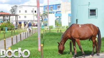 Imagem Mata de São João: orla rica e sede semi-abandonada