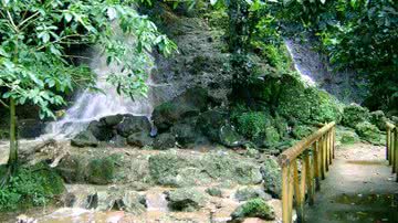 Imagem J. Carlos Filho sugere de ecoturismo no Parque São Bartolomeu
