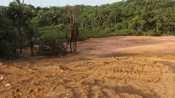 Roberto Viana // Bocão News