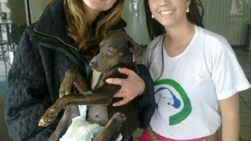 Imagem Sabrina Sato colabora com campanha para ajudar animais abandonados