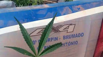 Brumado Urgente