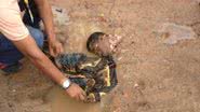 Imagem Cabeça humana é encontrada em via pública